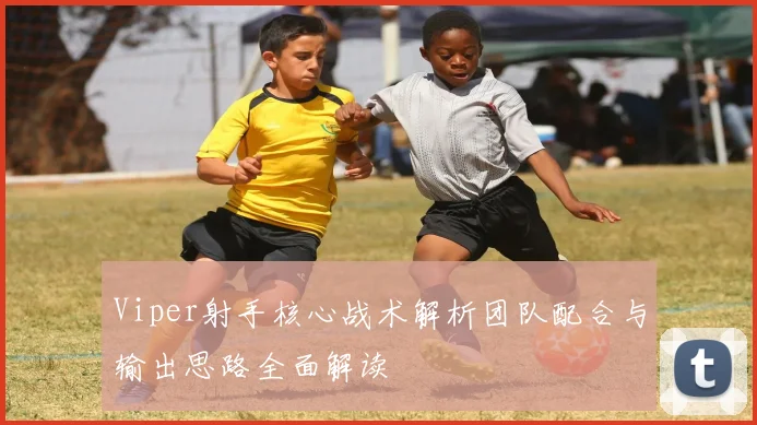 Viper射手核心战术解析团队配合与输出思路全面解读